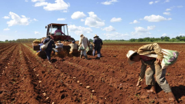 Un ambicioso plan inversionista acorde con las urgencias del país 